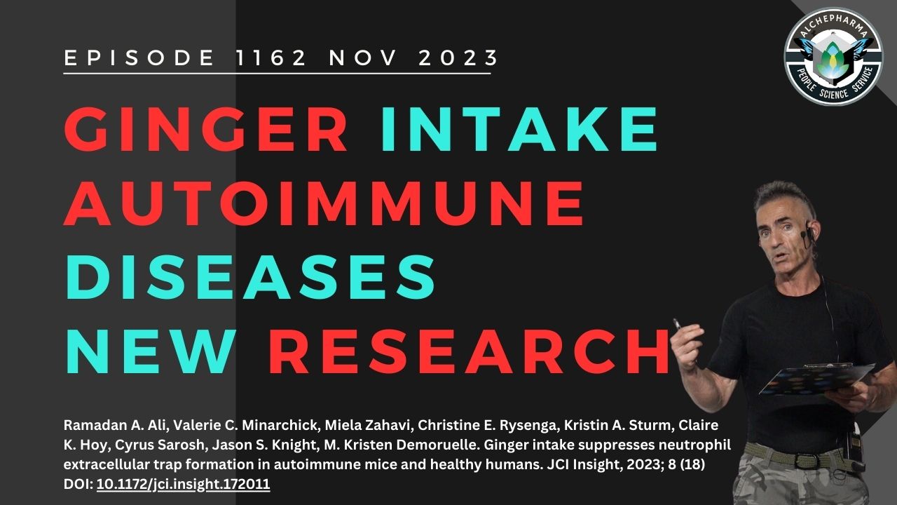 Ginger consumption and possible autoimmune benefits Ep. 1162 NOV 2023