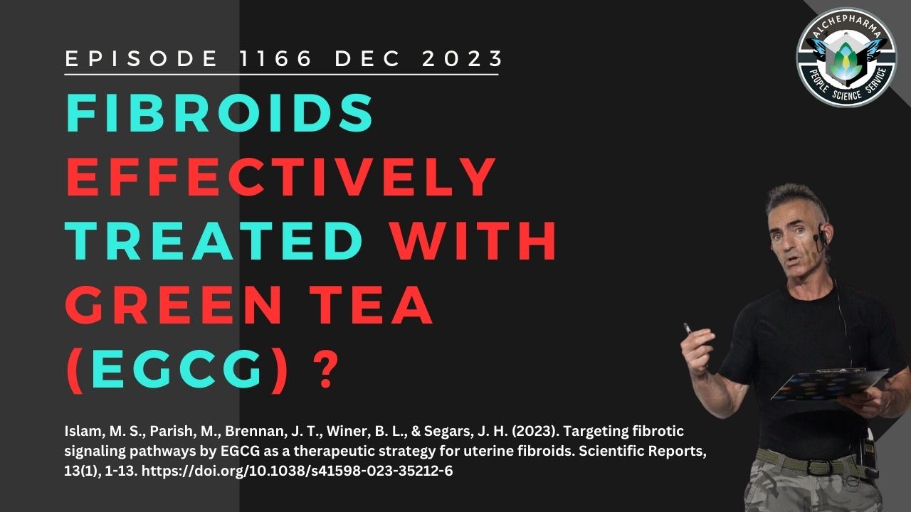Fibroids Effectively Treated with Green Tea (EGCG)? Ep. 1166 DEC 2023
